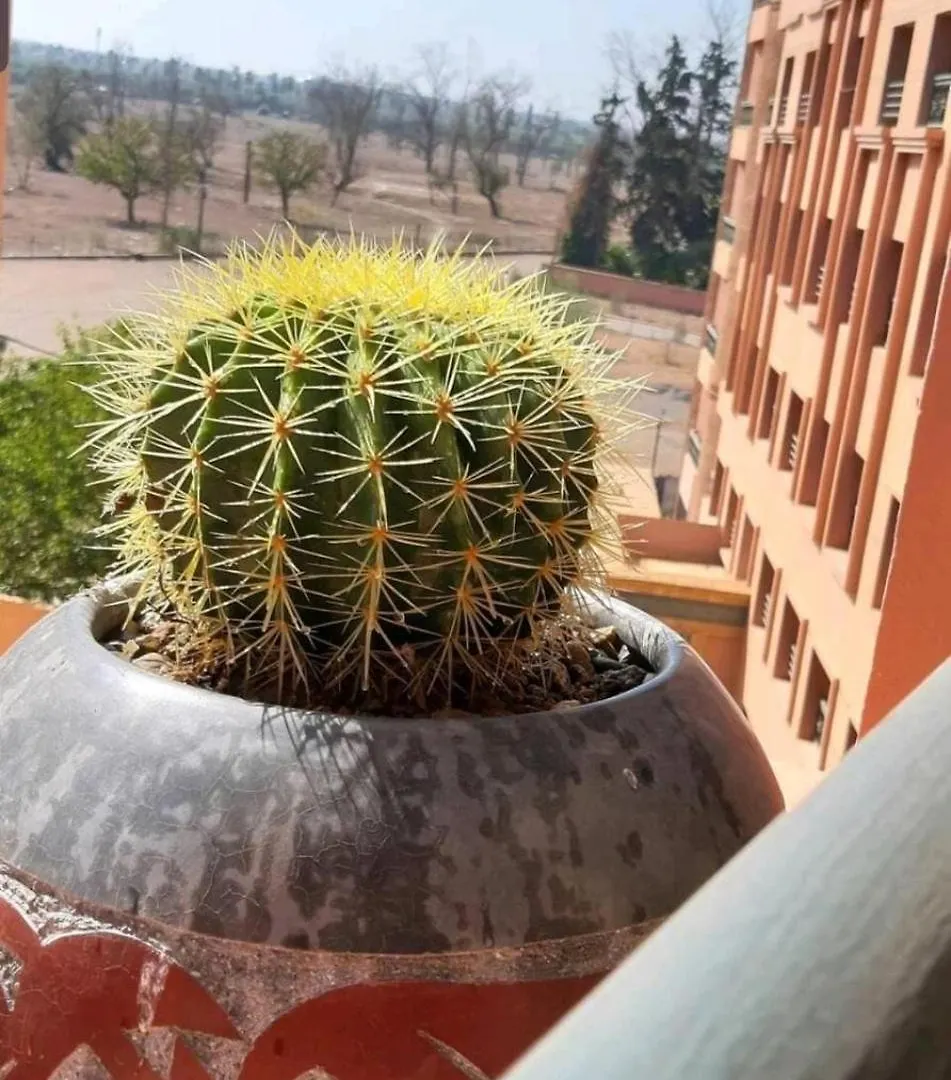 Palace-Apartment-Marrakech مراكش